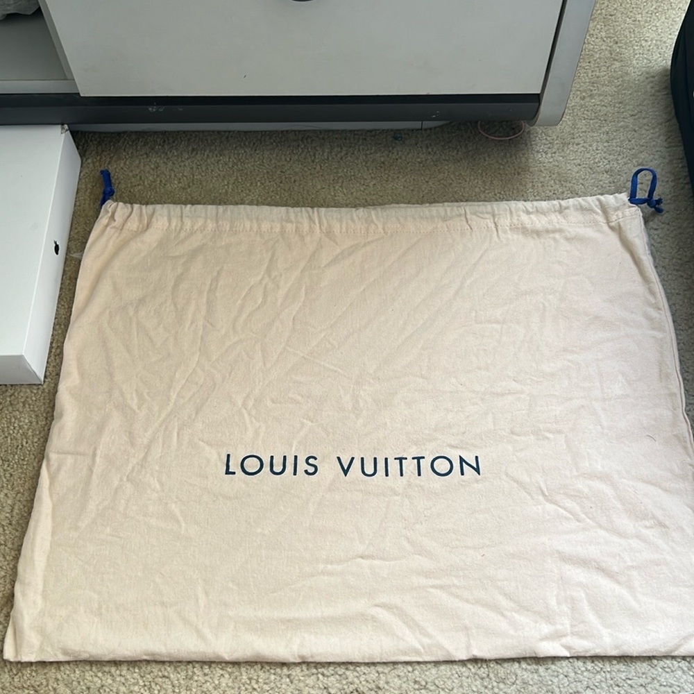 Bag cover Luis Vuitton